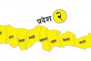 नेकपा विभाजन भए सँगै प्रदेश २ मा नेकपा संसदीय दलका नेताविरुद्ध अविश्वास प्रस्ताव दर्ता
