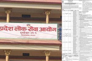लोक सेवा आयोग प्रदेश १ ले माग्यो ८१ जना कर्मचारी (बिज्ञापन सहित)