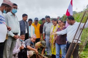 ३९औँ  दिवस बिपि स्मृति दिवस ,कांग्रेस अछामले गर्‍यो वृक्षरोपण र अन्तरक्रिया