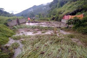 छिपेखोलामा बाढी: माछा पोखरी सहित पाक्नै लागेको धान बगायो