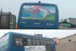तामझामका साथ सञ्चालनमा ल्याएका बस थन्किए
