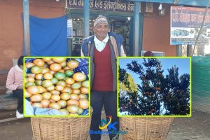 तुर्माखाँदका सौरे बयक उर्फ ‘सुन्तला बाजे’