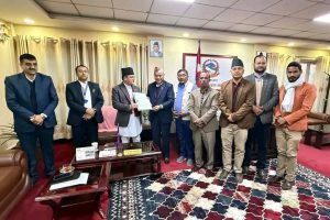 सेती राजमार्ग र जंगलघाट मंगलसेन सडक खण्ड रुख नकाटे जनाता लिएर रुख काट्ने, पुर्व माननीय रावल