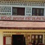 अछाममा हल गोरू पाल्ने किसानलाई प्रोत्साहन भत्ता