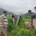 एयरपोर्ट बजार क्षेत्रको सौन्दर्यीकरण गर्ने उदेश्यले विभिन्न जातका फूल रोपिए