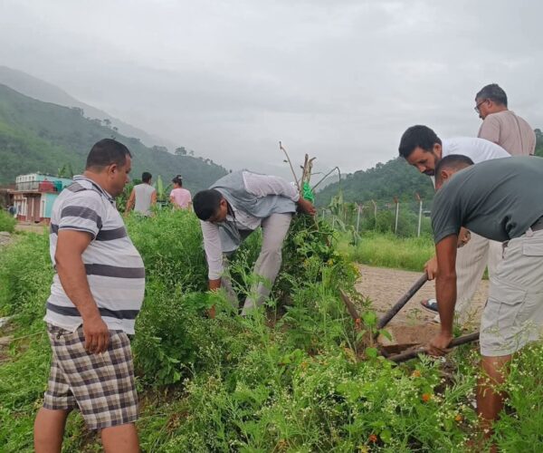 एयरपोर्ट बजार क्षेत्रको सौन्दर्यीकरण गर्ने उदेश्यले विभिन्न जातका फूल रोपिए